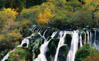 Природа Китая
