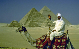 Современный египтянин на верблюде