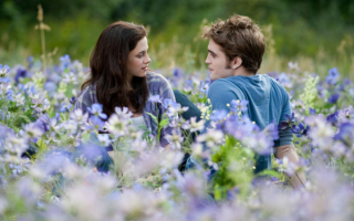 Эдвард и Белла в цветах