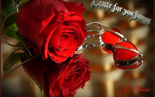 Любимой девушке