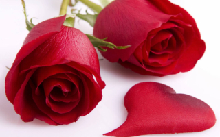 С днем влюбленных