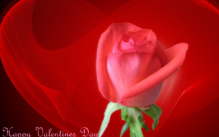 С днем влюбленных