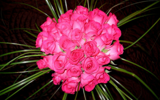 С праздником любимая