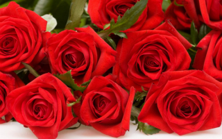 Розы любимой