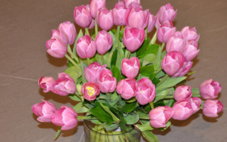 Букет тюльпанов любимой