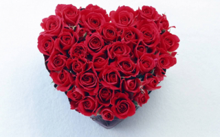 Розы любимой