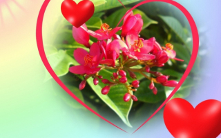 Праздничные валентики