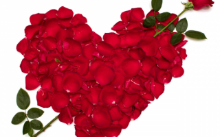 Розовая валентинка