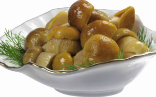 Грибы маринованные