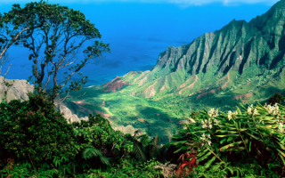 Природа Гавайских островов