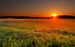 Восход солнца над полем