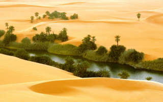 Оазис в пустыне Сахара