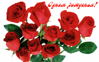 Розы с днем рождения