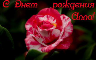 С днем рождения Алла