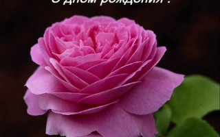 Открытка с днем рождения