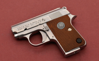 Colt Junior