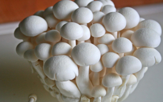 Шампиньоны