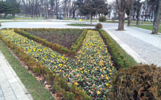 Зима в Краснодаре