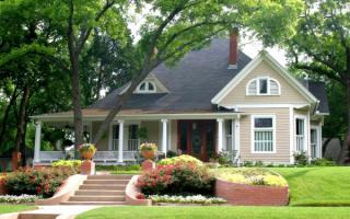 Дом среди деревьев