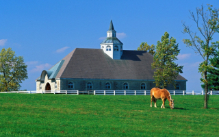 Дом на ферме