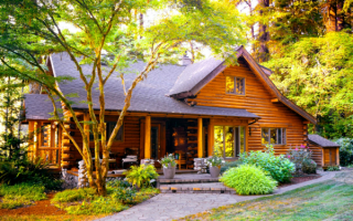 Рубленый дом в лесу