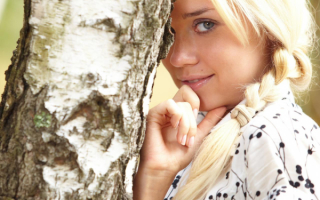 Береза белая подруга