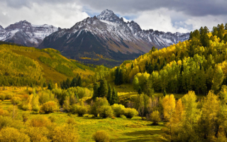 Осень перекрасила деревья