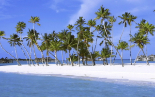 Пальмы, море, пляж