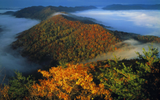 Осенний туман