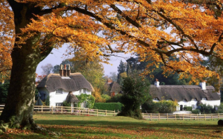 Осень в деревне