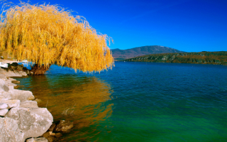 Осень на реке