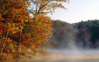 Осенний туман над рекой