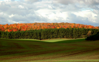 Приметы осени