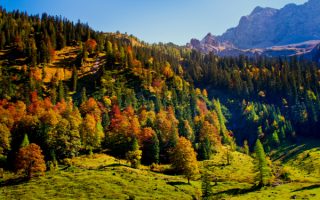 Солнечная осень