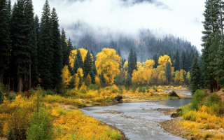 Осень наступает