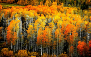 Осенний пейзаж