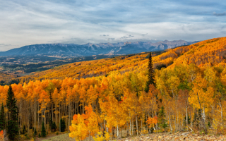 Осенняя панорама