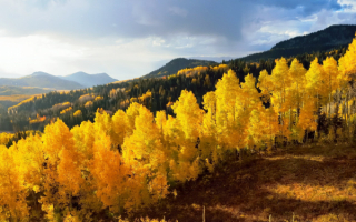 Осень на горах