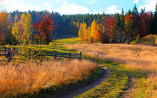 Осень на околице