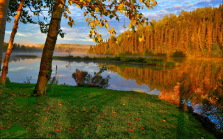 Осеннее утро на реке