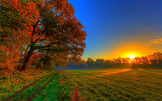 Осеннее утро