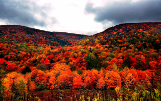 Пасмурный осенний день