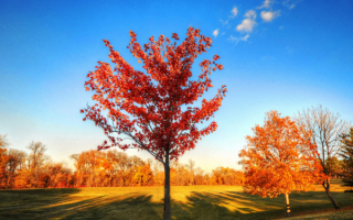 Осенний вечер