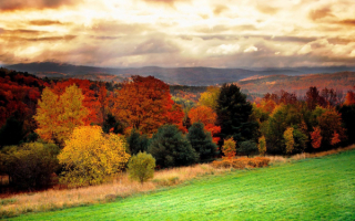 Хмурое небо над осенним лесом