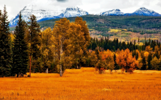 Лес горы осень