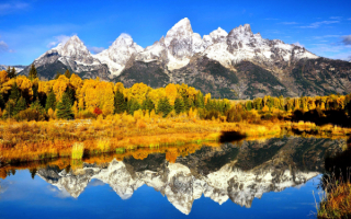 Красивая картинка осени