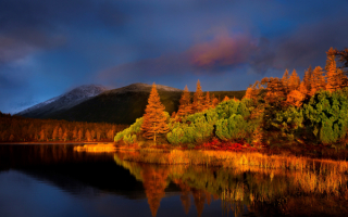 Осенний вечер у реки