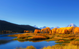Осенний лес в горной долине