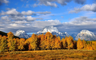 Осенний лес горы облака