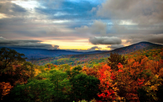 Хмурое небо над осенним лесом
